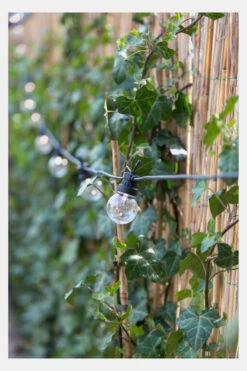 Regular Patio Lights Round Bulb Extension Kit Uitbreiding Lichtsnoer -Camping Essentials Verkoop g48f3d0007 8989 05 nl