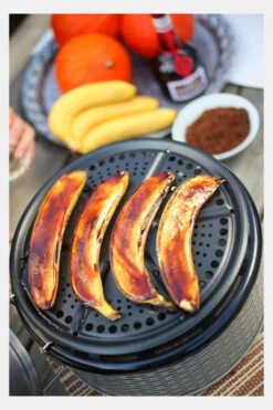 Cobb Premier Barbecue Alu Zonder Tas -Camping Essentials Verkoop mecae00018 7215 04 nl