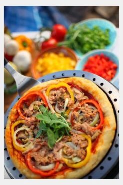 Cobb Bakplaat -Camping Essentials Verkoop mecgc70170 0101 04 nl