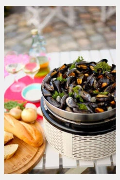 Cobb Wok -Camping Essentials Verkoop mecgc70171 0101 06 nl